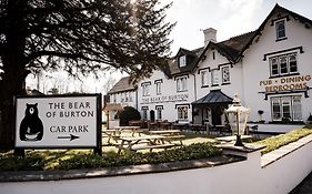 Bear Of Burton